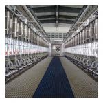 Electronic-measuring Auto-removing Type Herringbone Milking Parlor